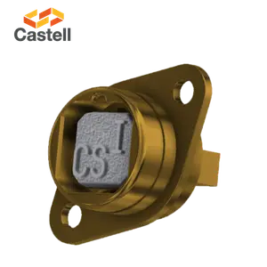 FS / Q - Switchgear Interlock by Castell